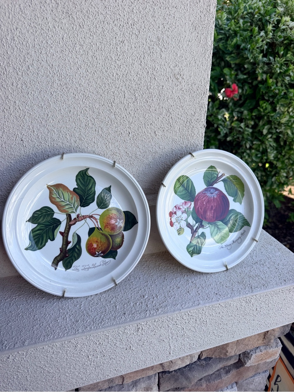 Portmeirion Pomona 8.5” Plates Hoary Morning Apple Teinton Squash Pear Set 2